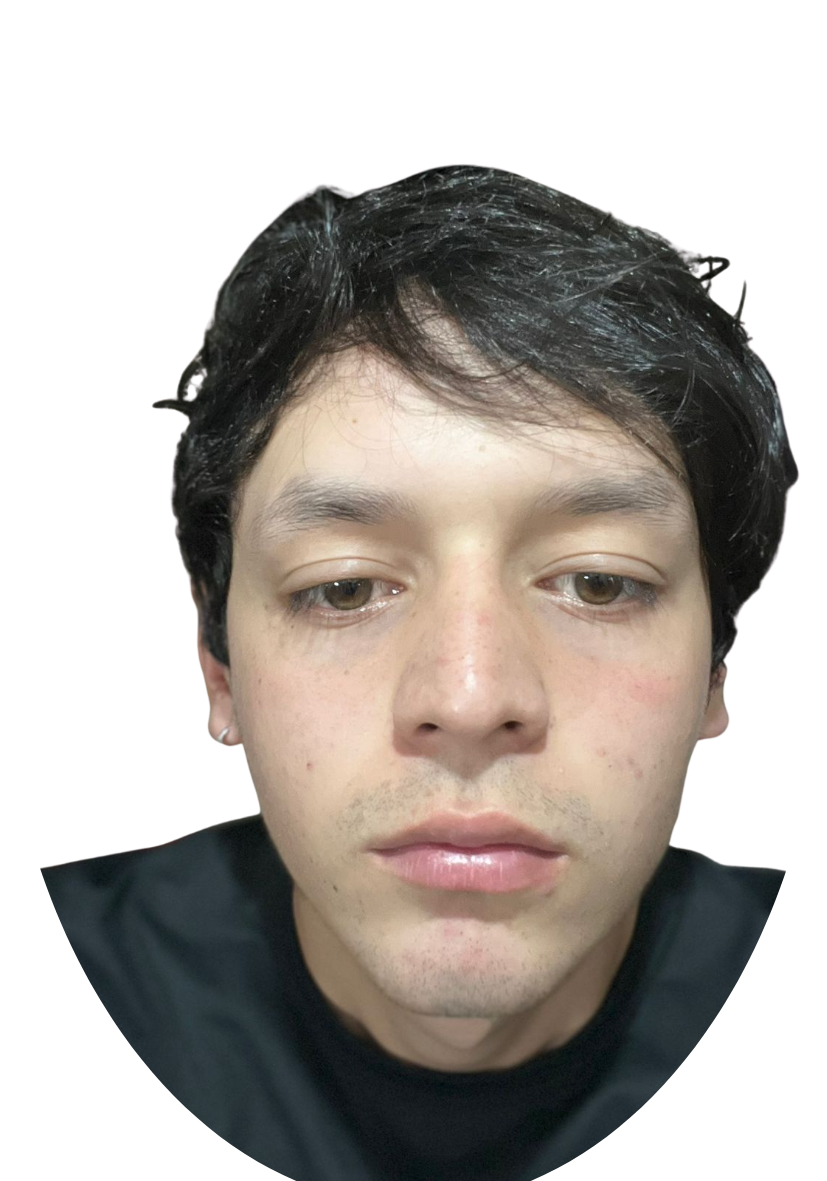 JOSE LUIS RODRIGUE BUSTOS